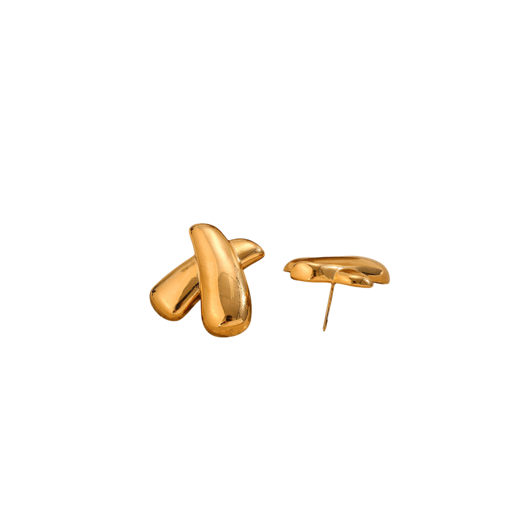 Selena’s Earrings