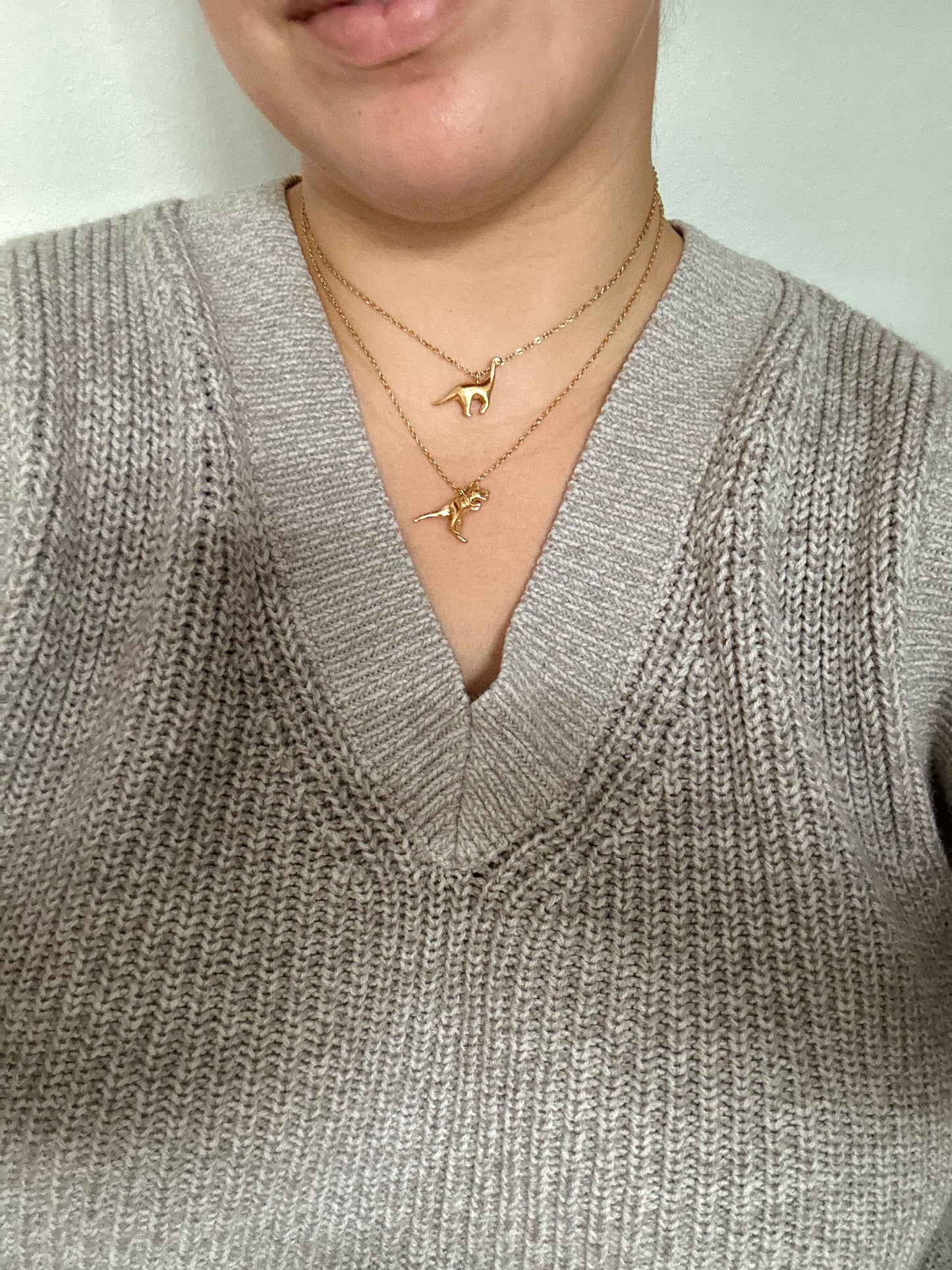 Dino’s Necklace